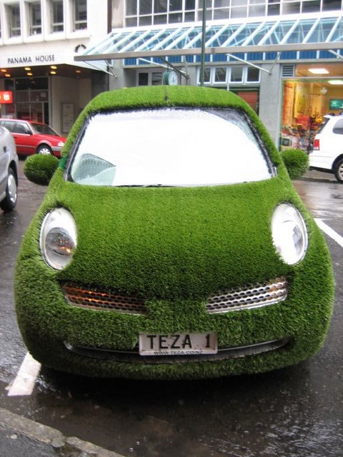 Grass Car for ALA Insurance
