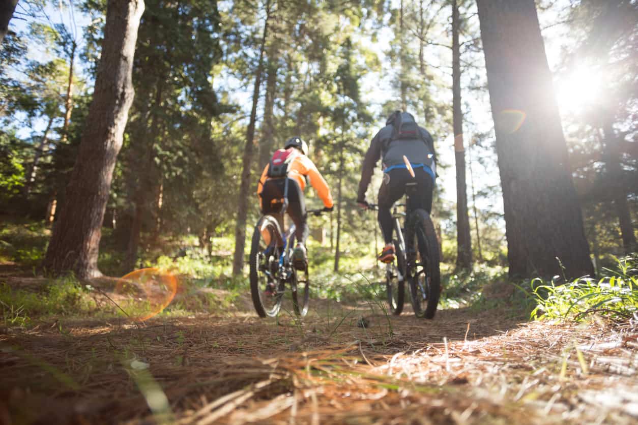 A couple cycling through the woods on bikes